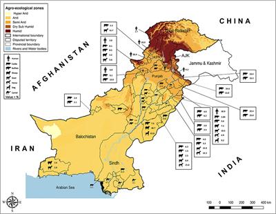 Animal and Human Brucellosis in Pakistan